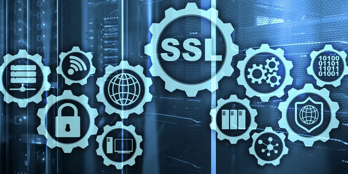 How SSL technology ensures the fastest casino withdrawals | CyberDB